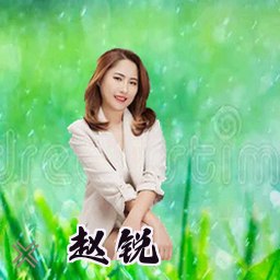 赵锐